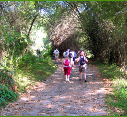 Trekking