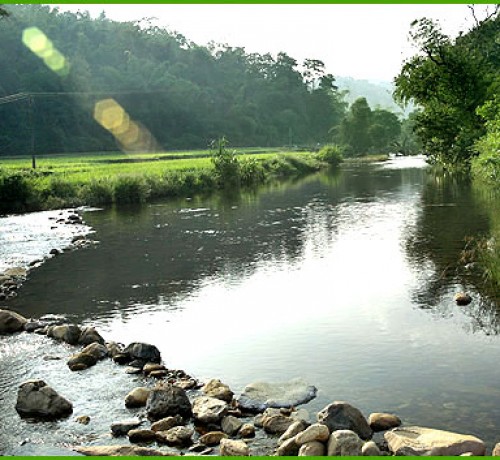River Kalindi