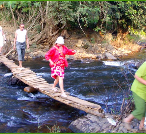 The Country Bridge