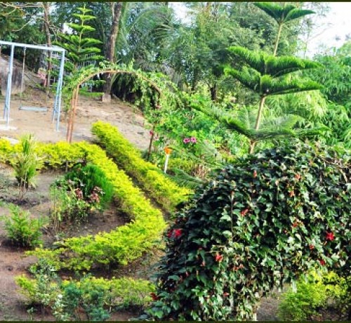 Children's Park