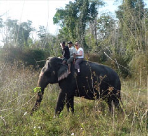 Elephant Ride Elephant Ride