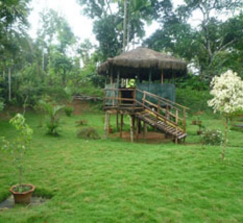 Scenic Greenery Scenic Greenery