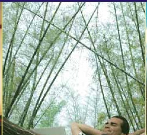 Hammock
