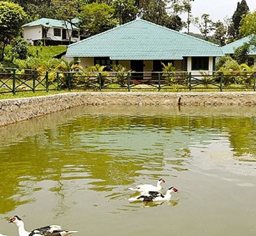 Resort Lake