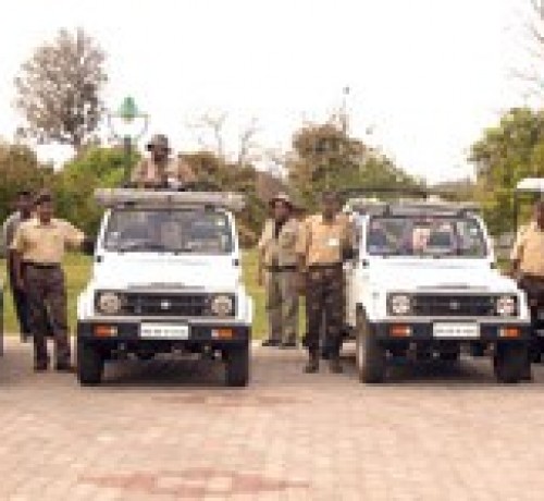 KS-safari KS-safari