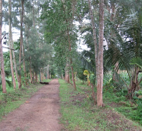 Way-to-tents Way-to-tents