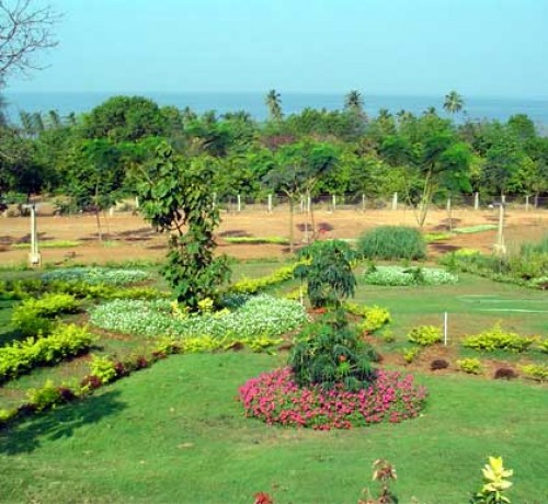 Saivishram1 Saivishram1