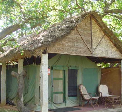 SaivishramTent SaivishramTent