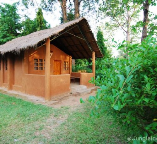 Cottage