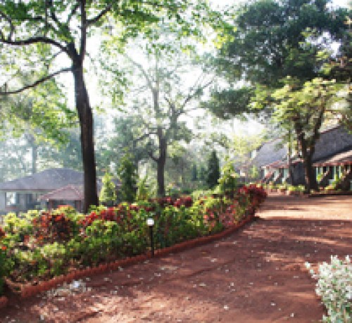 Garden area