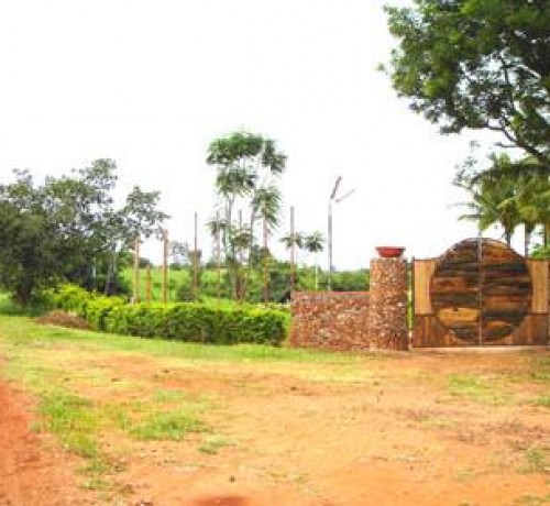 Entrance Entrance