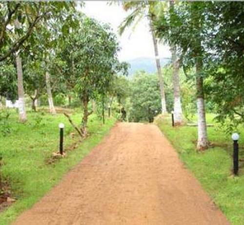 Plantation Plantation
