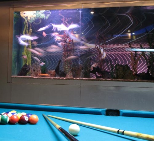 Recreation Area