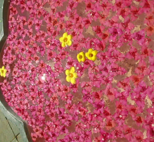 Flowers Flowers