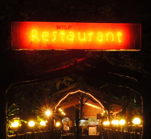Wild- Restaurant Wild- Restaurant