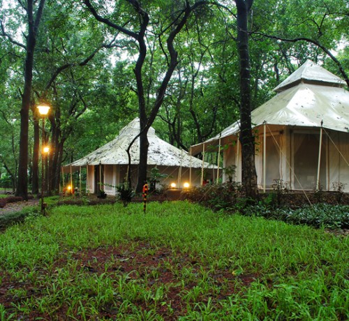 Tent Tent