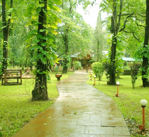 Greenery Greenery