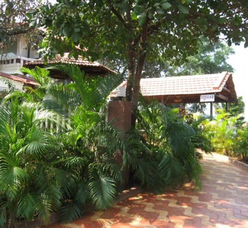 Way to cottage