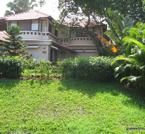Lawn