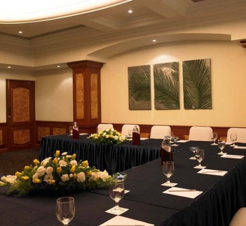U Shaped conference