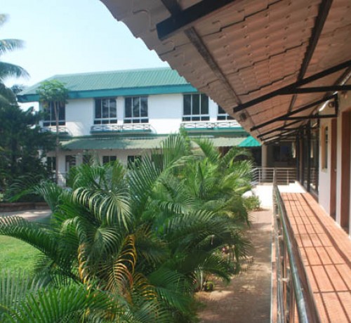 Garden area
