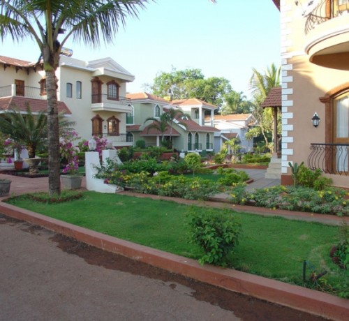 Garden Area