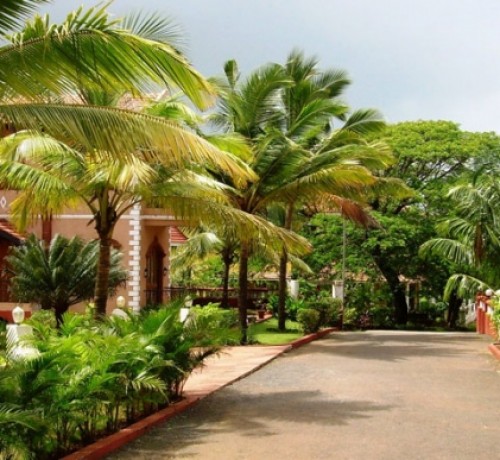 Pathway
