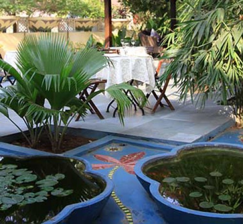 Garden