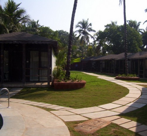 Lawn