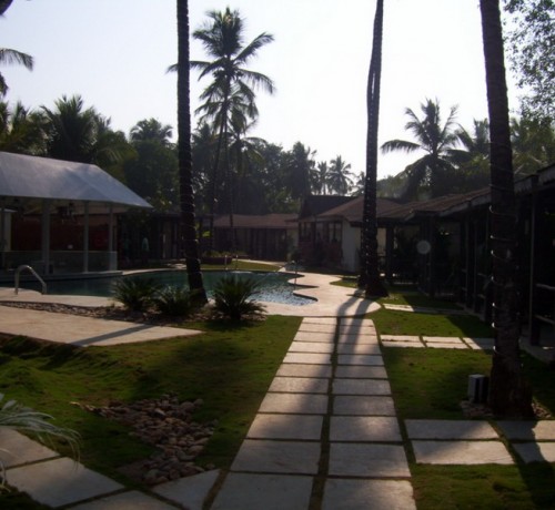 Evening view