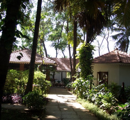 Way to Cottage
