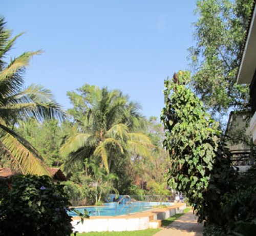 Side View
