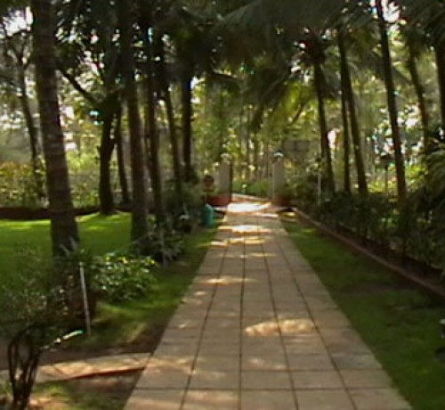 Shaded Road