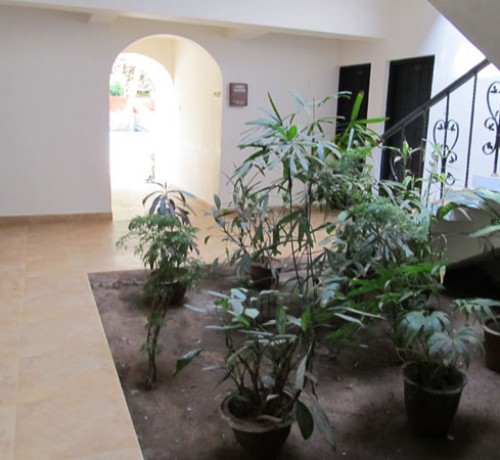 Plantation