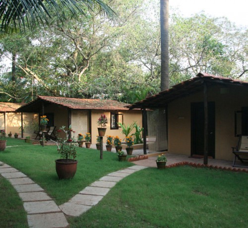 Lawn Lawn