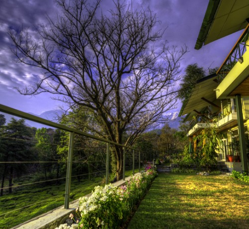 Garden