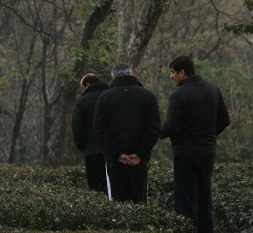 Nature walks