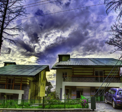 View