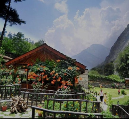 Garden area