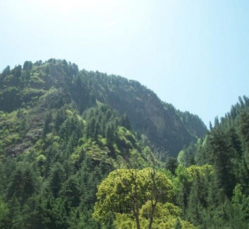 Nature around