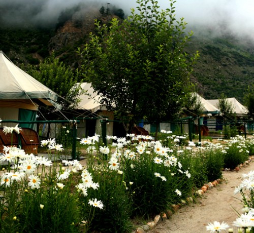 Camps Camps