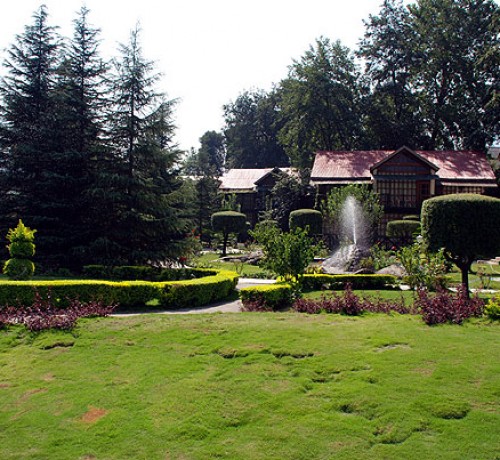 Lawn