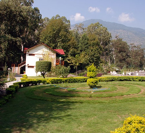 Greenery