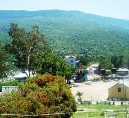 Scenic view