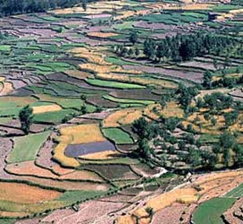 Naggar Valley