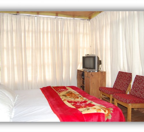 Window curtains
