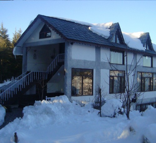 During Winter During Winter