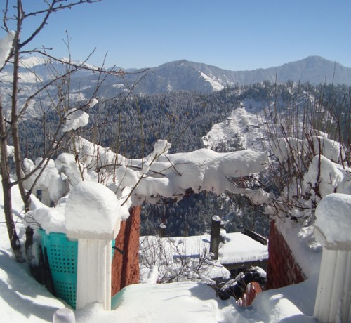 Winter Winter
