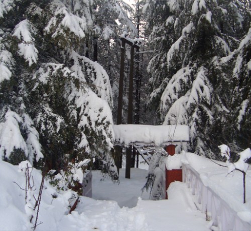 Unique stay Unique stay