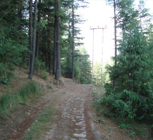 Nature Trail Nature Trail